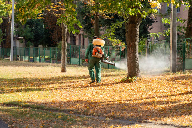 Best Flea Control Services  in Wadsworth, OH