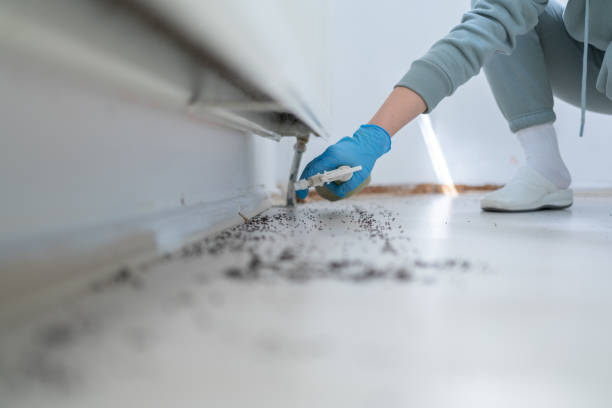 Best Pest Prevention Services  in Wadsworth, OH